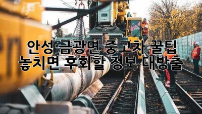 안성 금광면 중고차 꿀팁🍯: 놓치면 후회할 정보 대방출!